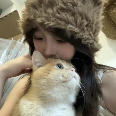 美人追